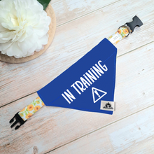 Charger l'image dans la galerie, Set of leash sleeve and bandana - IN TRAINING