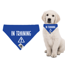 Charger l'image dans la galerie, Set of leash sleeve and bandana - IN TRAINING