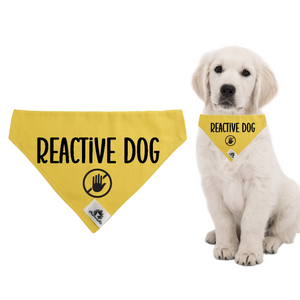 Set of leash sleeve and bandana - REACTIVE DOG