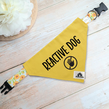 Charger l'image dans la galerie, Set of leash sleeve and bandana - REACTIVE DOG