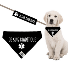 Charger l'image dans la galerie, Kit manchon de laisse et foulard pour chien JE SUIS DIABÉTIQUE