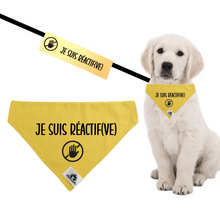 Charger l'image dans la galerie, Kit manchon de laisse et foulard JE SUIS RÉACTIF(VE)