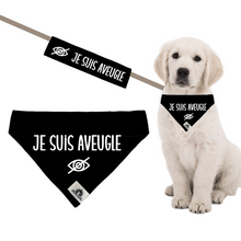 Charger l'image dans la galerie, Kit manchon de laisse et foulard pour chien JE SUIS AVEUGLE