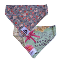 Charger l'image dans la galerie, Foulard réversible 2 en 1 pour chat et petit chien - PR011