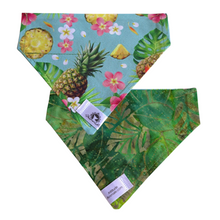 Charger l'image dans la galerie, Foulard réversible 2 en 1 pour chat et petit chien - PR043