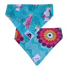 Charger l'image dans la galerie, Foulard réversible 2 en 1 pour chat et petit chien - PR003
