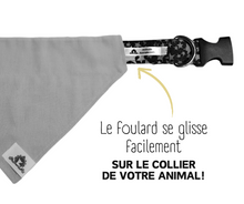 Charger l'image dans la galerie, Foulard réversible 2 en 1 pour chat et petit chien - PR032