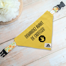 Charger l'image dans la galerie, Kit manchon de laisse et foulard DEMANDEZ AVANT DE CARESSER