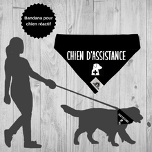 Charger l'image dans la galerie, Foulard pour CHIEN D'ASSISTANCE