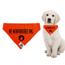 Charger l'image dans la galerie, Foulard pour chien - NE M'APPROCHEZ PAS - Chien anxieux réactif