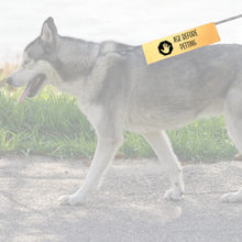 Charger l'image dans la galerie, Leash sleeve - ASK BEFORE PETTING