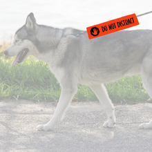 Charger l'image dans la galerie, Leash sleeve - DO NOT DISTRACT