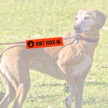 Charger l'image dans la galerie, Leash sleeve - DON'T TOUCH ME