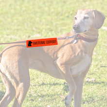 Charger l'image dans la galerie, Leash sleeve - EMOTIONAL SUPPORT