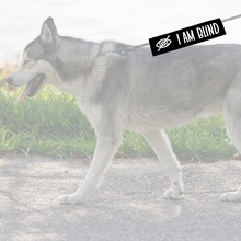 Charger l'image dans la galerie, Leash sleeve - I AM BLIND