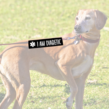 Charger l'image dans la galerie, Leash sleeve - I AM DIABETIC