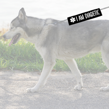 Charger l'image dans la galerie, Leash sleeve - I AM DIABETIC