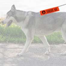 Charger l'image dans la galerie, Leash sleeve - IGNORE ME