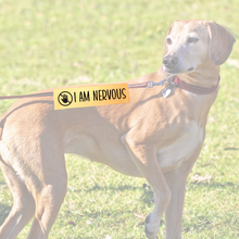 Charger l'image dans la galerie, Leash sleeve - I AM NERVOUS