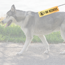 Charger l'image dans la galerie, Leash sleeve - I AM NERVOUS