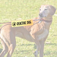 Charger l'image dans la galerie, Leash sleeve - REACTIVE DOG