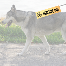 Charger l'image dans la galerie, Leash sleeve - REACTIVE DOG