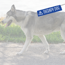 Charger l'image dans la galerie, Leash sleeve - THERAPY DOG