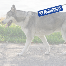 Charger l'image dans la galerie, Manchon de laisse pour chien ZOOTHÉRAPIE