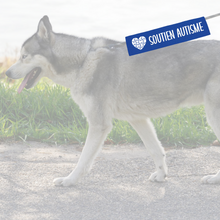 Charger l'image dans la galerie, Manchon de laisse SOUTIEN AUTISME pour Chien d'assistance