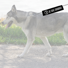 Charger l'image dans la galerie, Manchon de laisse pour chien JE SUIS SOURD(E)