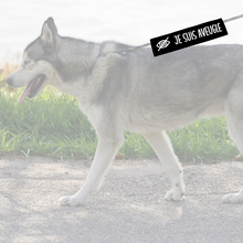 Charger l'image dans la galerie, Manchon de laisse pour chien JE SUIS AVEUGLE
