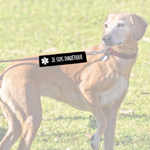 Charger l'image dans la galerie, Manchon de laisse pour chien JE SUIS DIABÉTIQUE
