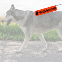 Charger l'image dans la galerie, Manchon de laisse pour chien d'assistance SOUTIEN ÉMOTIONNEL