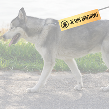Charger l'image dans la galerie, Manchon de laisse JE SUIS RÉACTIF(VE) pour Chien anxieux réactif