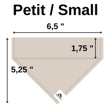 Charger l'image dans la galerie, Set of leash sleeve and bandana - IN TRAINING