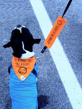 Charger l'image dans la galerie, Foulard pour chien JE SUIS DIABÉTIQUE