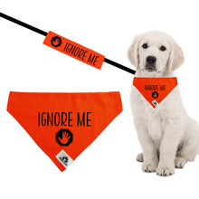 Charger l'image dans la galerie, Set of leash sleeve and bandana - IGNORE ME