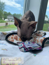 Charger l'image dans la galerie, Jouet pour chat avec herbe à chat – tête de chat no 35