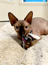 Charger l'image dans la galerie, Jouet pour chat avec herbe à chat – tête de chat no 48