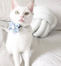 Charger l'image dans la galerie, Fleur pour chien ou chat - no 114