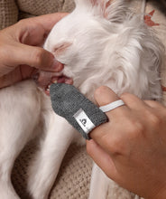 Charger l'image dans la galerie, Brosse à dents Doigtier en microfibre pour animaux