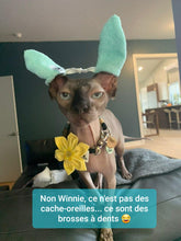 Charger l'image dans la galerie, Brosse à dents Doigtier en microfibre pour animaux