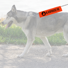 Charger l'image dans la galerie, Manchon de laisse NE M'APPROCHEZ PAS pour Chien anxieux réactif