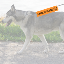 Charger l'image dans la galerie, Manchon de laisse JE N'AIME PAS LES AUTRES CHIENS pour Chien anxieux réactif