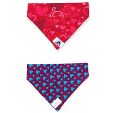 Charger l'image dans la galerie, Foulard 2 en 1 pour chat et petit chien - StV036