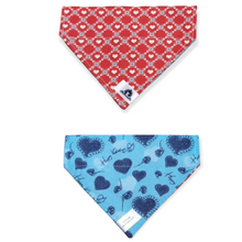 Charger l'image dans la galerie, Foulard 2 en 1 pour chat et petit chien - StV031
