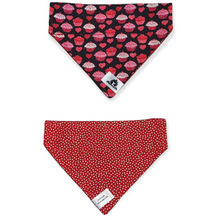 Charger l'image dans la galerie, Foulard 2 en 1 pour chat et petit chien - StV023