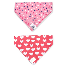 Charger l'image dans la galerie, Foulard 2 en 1 pour chat et petit chien - StV028