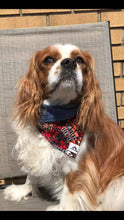 Charger l'image dans la galerie, Foulard 2 en 1 pour chien moyen - StV001