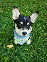 Charger l'image dans la galerie, Foulard 2 en 1 pour chien moyen - StV009